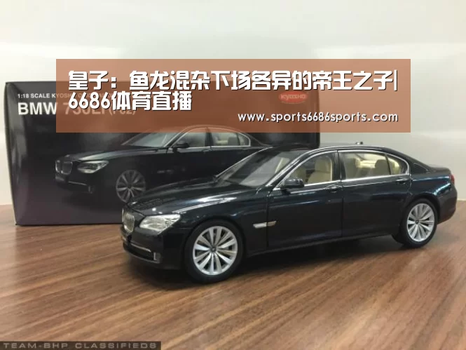 皇子:鱼龙混杂下场各异的帝王之子|6686体育直播(图2) 6686体育直播