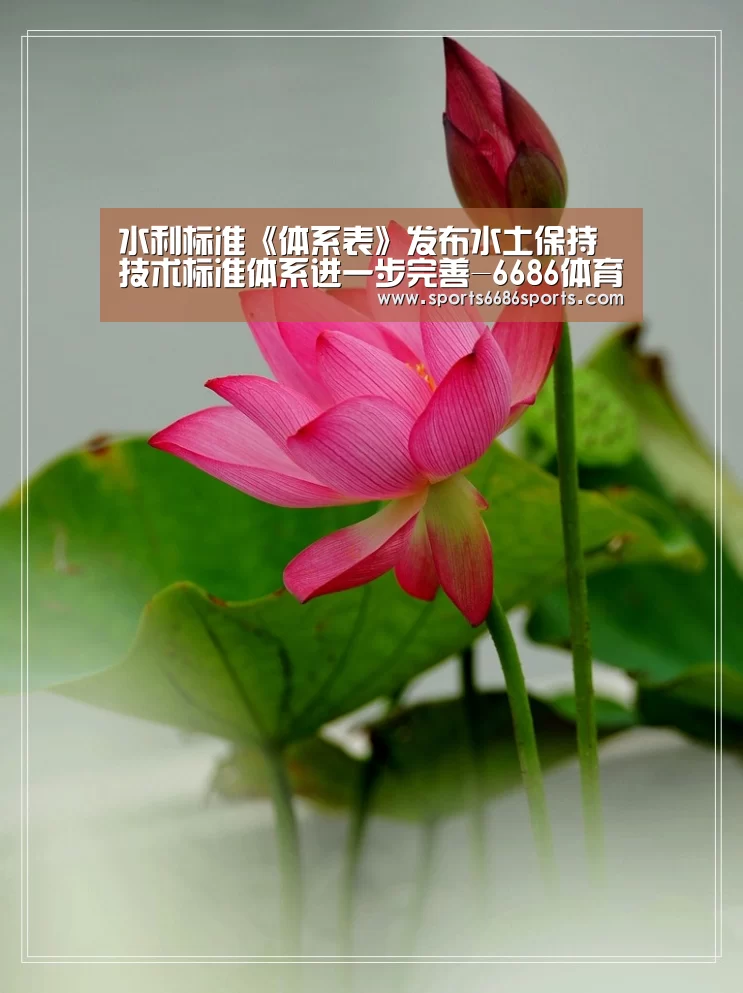 水利标准《体系表》发布水土保持技术标准体系进一步完善-6686体育下载(图2) 6686体育