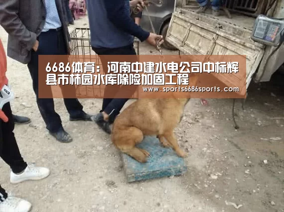 6686体育:河南中建水电公司中标辉县市柿园水库除险加固工程(图3) 6686体育下载