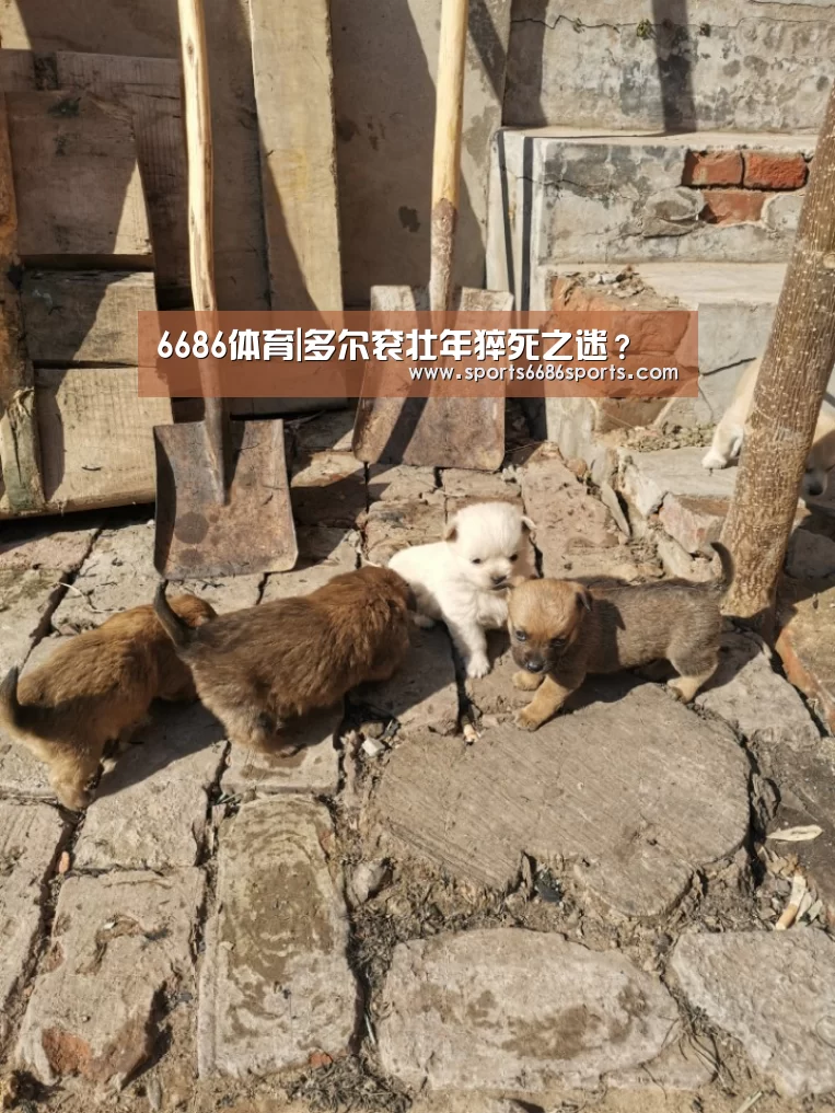 6686体育|多尔衮壮年猝死之迷?(图4) 6686体育直播