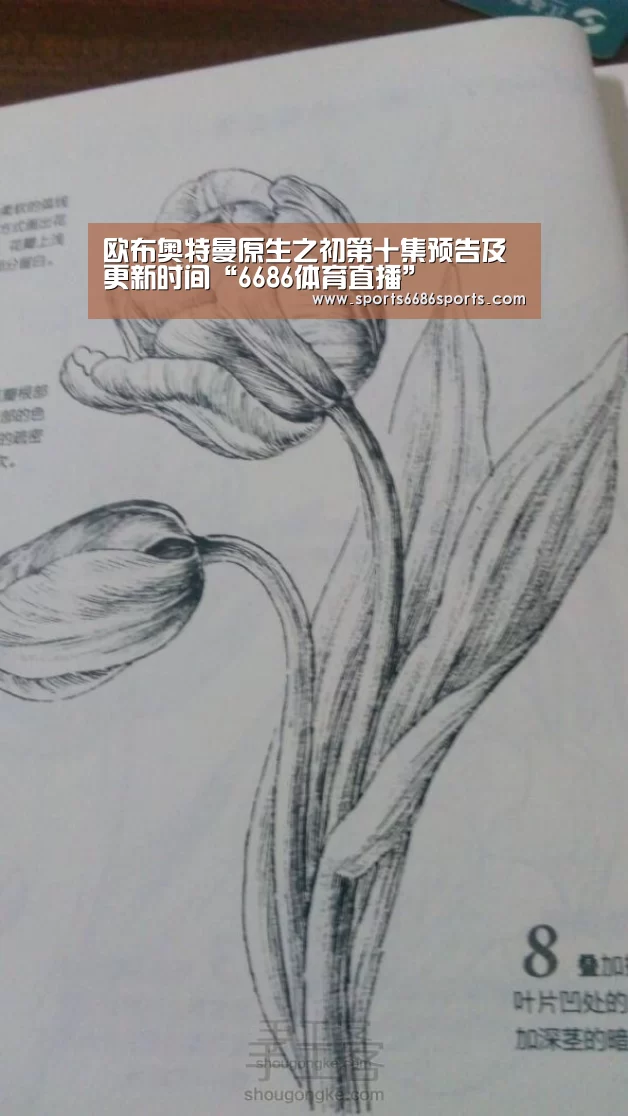 欧布奥特曼原生之初第十集预告及更新时间“6686体育直播”(图4) 6686体育下载