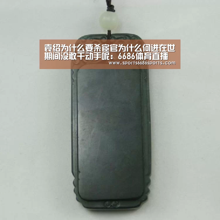 袁绍为什么要杀宦官为什么何进在世期间没敢干动手呢:6686体育直播(图1) 6686体育