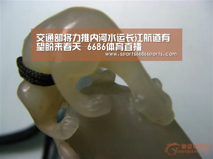 6686体育官网