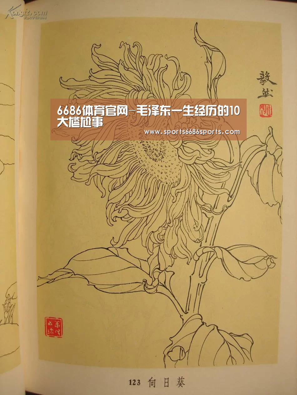 6686体育下载