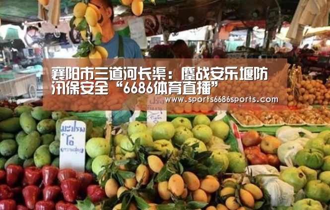 襄阳市三道河长渠:鏖战安乐堰防汛保安全“6686体育直播”(图1) 6686体育直播