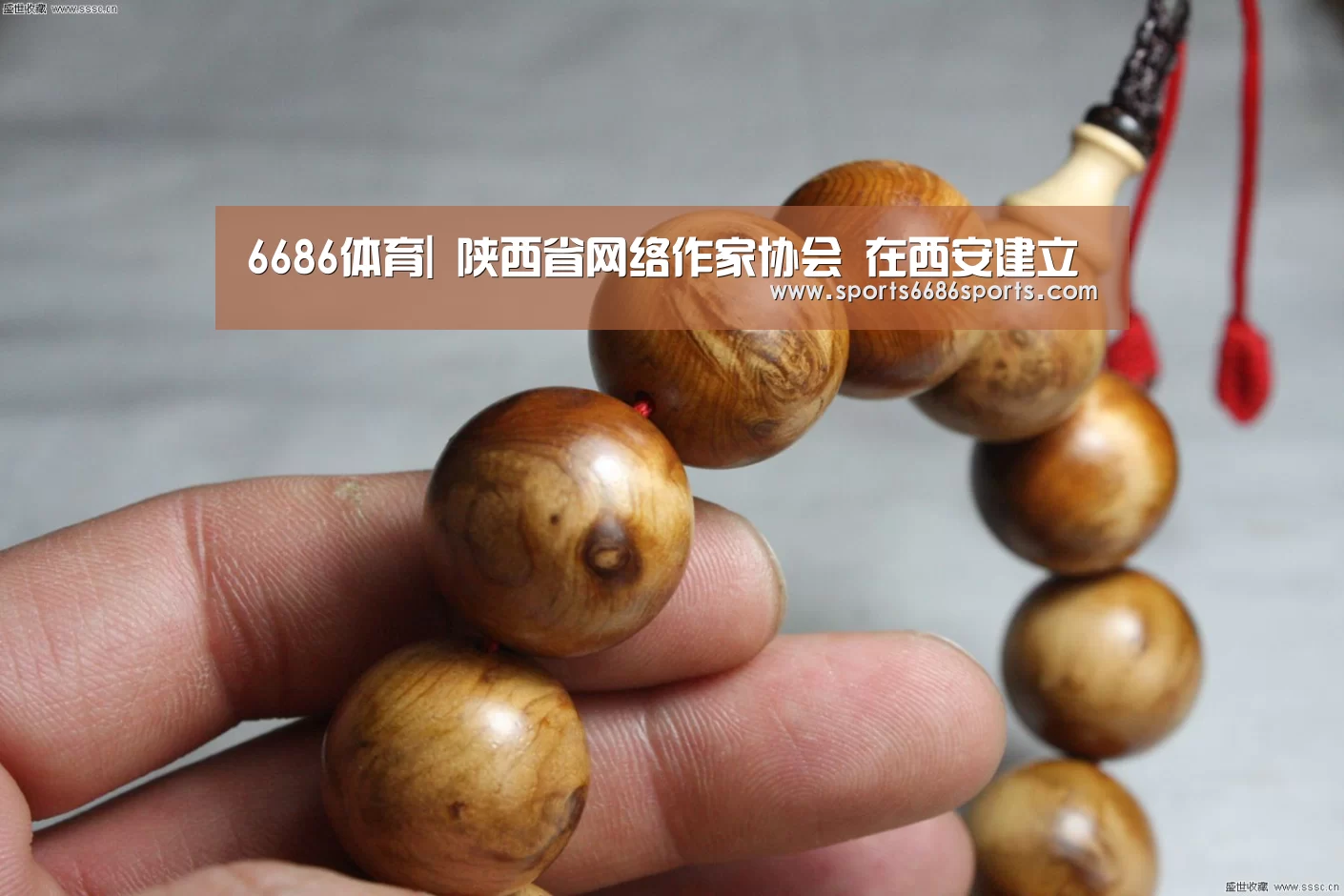 6686体育|
陕西省网络作家协会 在西安建立(图2) 6686体育下载