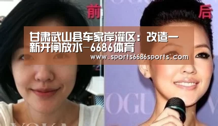 甘肃武山县车家岸灌区:改造一新开闸放水-6686体育(图4) 6686体育官网