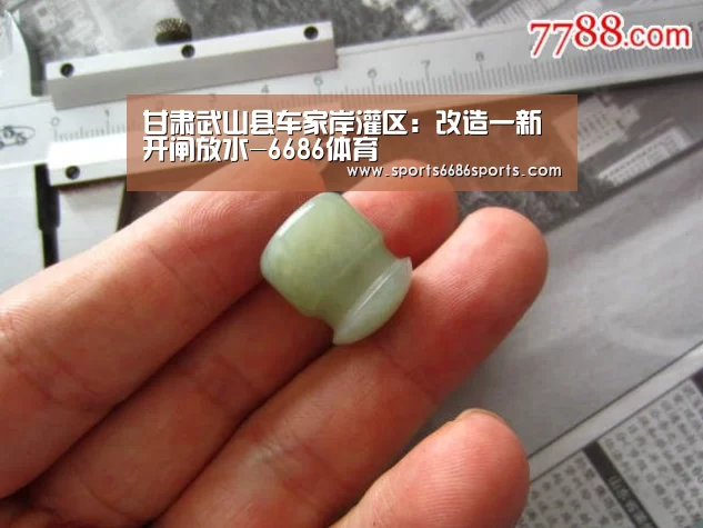 甘肃武山县车家岸灌区:改造一新开闸放水-6686体育(图2) 6686体育直播