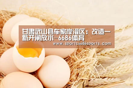 甘肃武山县车家岸灌区:改造一新开闸放水-6686体育(图3) 6686体育
