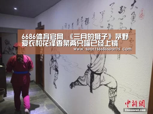 6686体育官网_《三月的狮子》茅野爱衣和花泽香菜两只喵已经上镜(图1) 6686体育官网