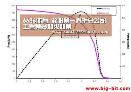 6686体育_濮阳第一养护分公司工管竞赛如火如荼(图2) 6686体育